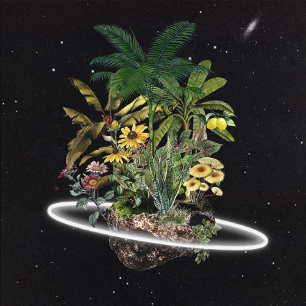 New Artist Feature: Cosmic Gardens