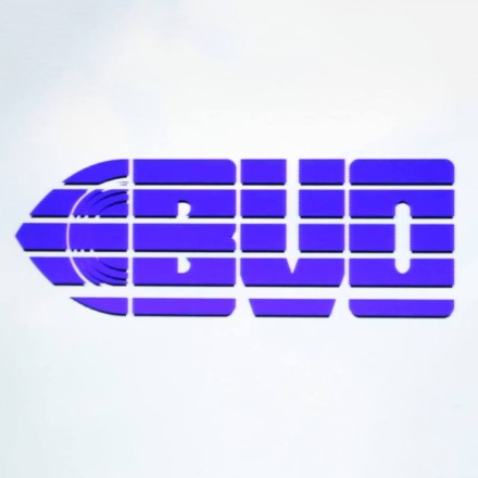 Bon Voyage Organisation